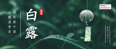 二十四节气 | 今日白露